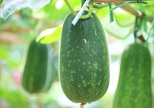 吃瓜今日必吃大瓜,吃瓜群众今日必看焦点事件